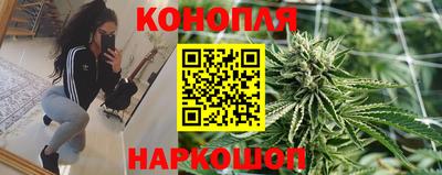 стафф Нальчик