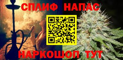 стафф Нальчик