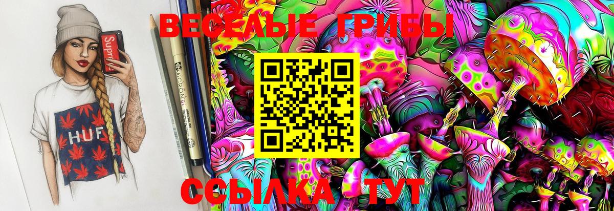 Псилоцибиновые грибы GOLDEN TEACHER  Вход с VPN  Владивосток 
