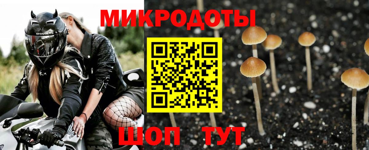 Галлюциногенные грибы GOLDEN TEACHER Владивосток